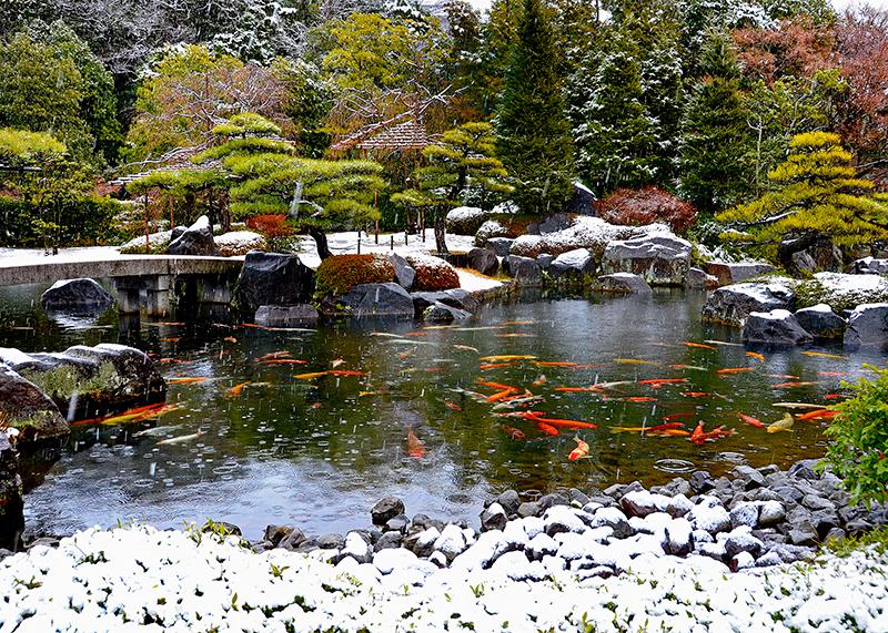 Himeji autentico giardino giapponese "Yukoen"