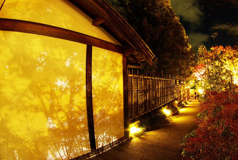 Himeji autentico giardino giapponese "Yukoen"