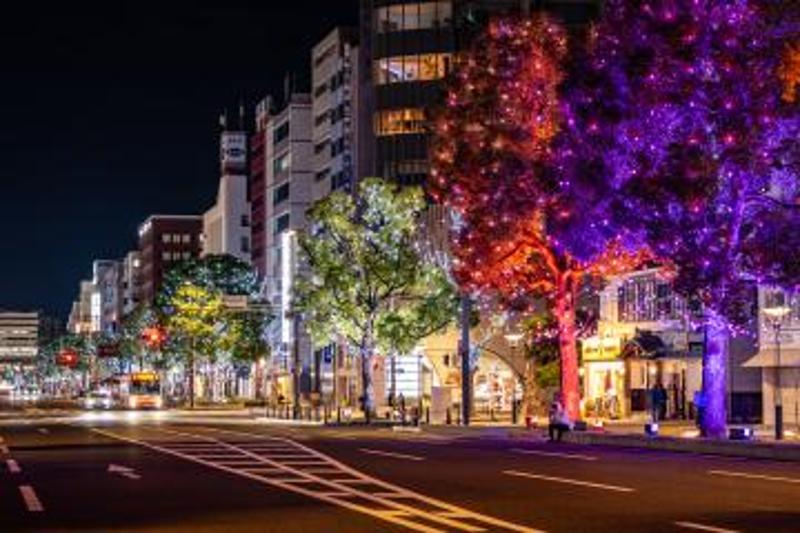 万博×Himeji大手前通りイルミネーション開催中！