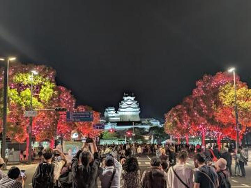 万博×Himeji大手前通りイルミネーション開催中！